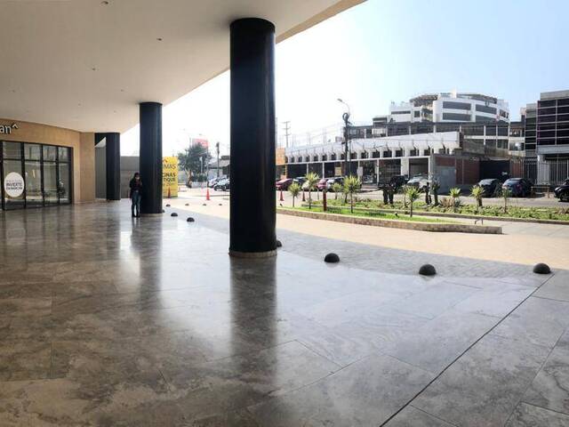 #151 - Establecimiento Comercial para Venta en Lima - LIM